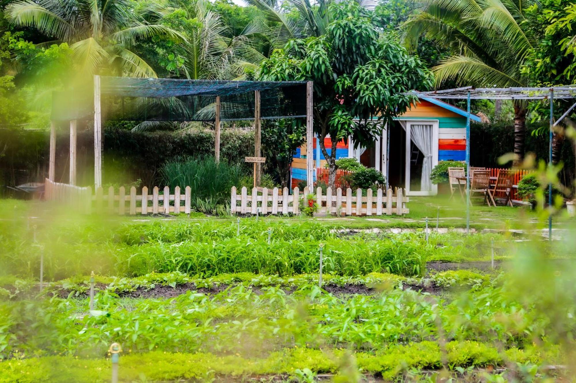 Melia Ho Tram Beach Resort Bagian luar foto A farm in the Philippines